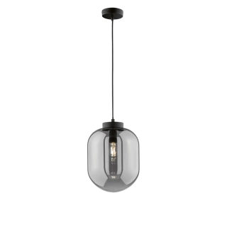 Fischer Honsel 60710 REGI - Moderní závěsné svítidlo s kouřovým sklem, 1 x E27, Ø 24cm
